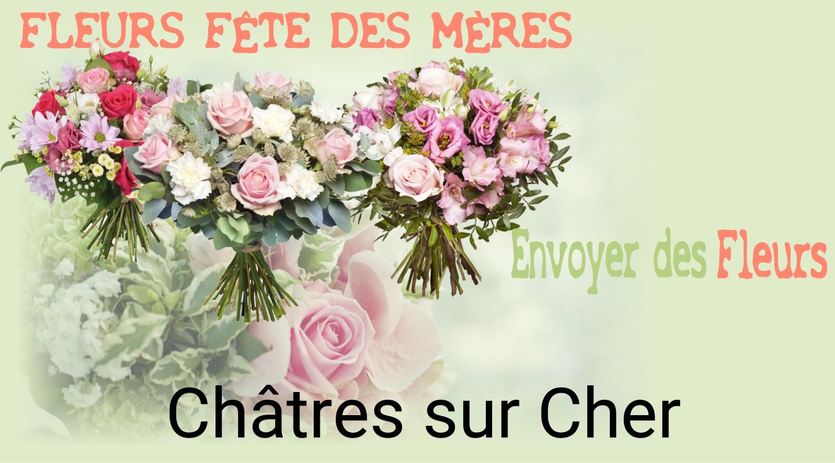 Bouquet de Fête des Mères livré à Châtres-sur-Cher
